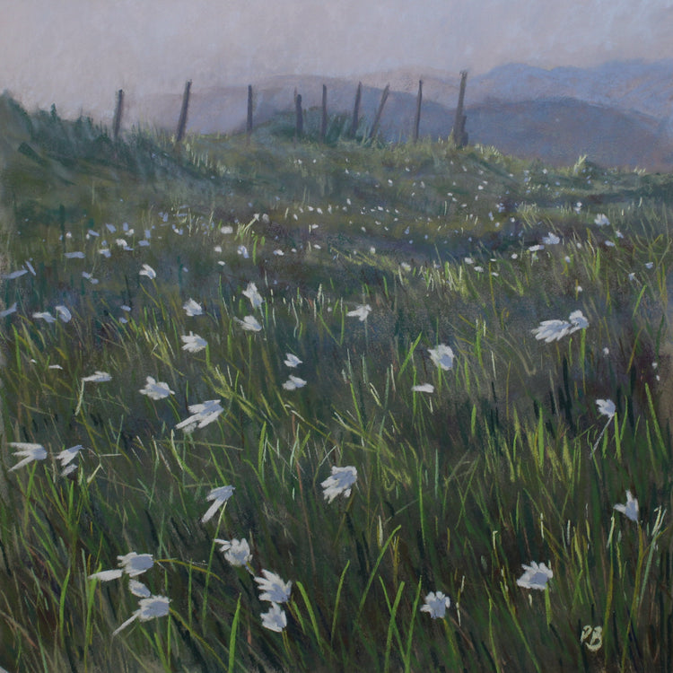 Fine Art Print of original Irish seascape showing the tide at Brahalish on Sheepshead in west Cork