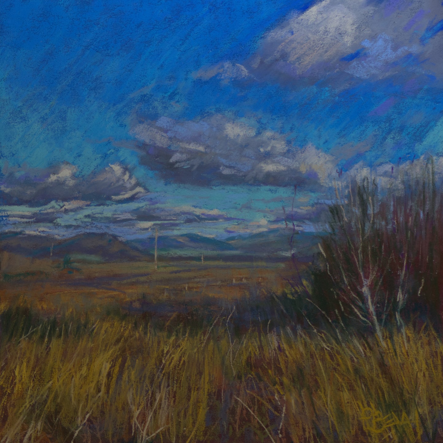 Blanket Bogs at Kealanine Valley, Bantry _ PRINT (Copy)