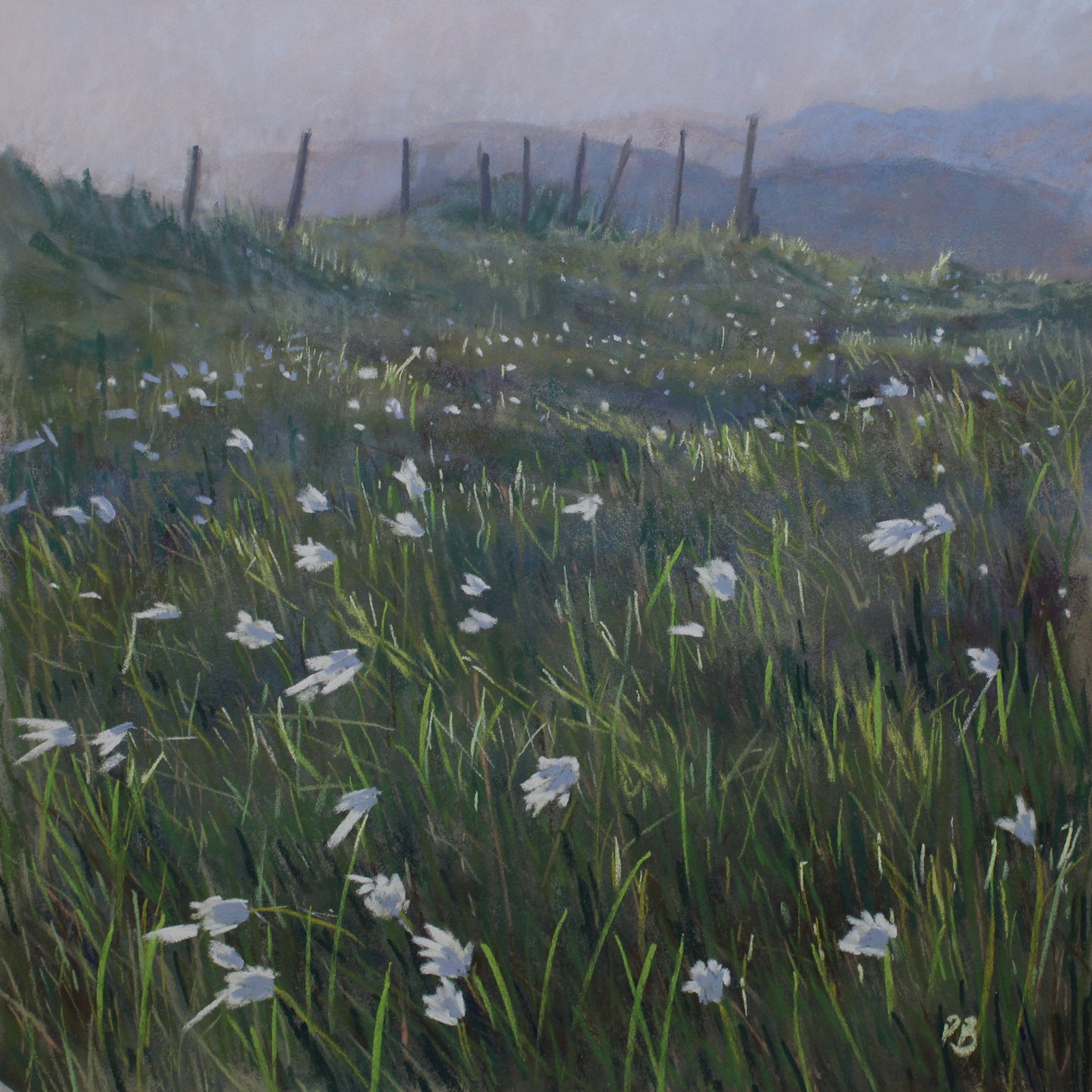 Evening Light at the Priest's Leap, Bantry, West Cork - PRINT
