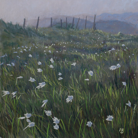 Evening Light at the Priest's Leap, Bantry, West Cork - PRINT