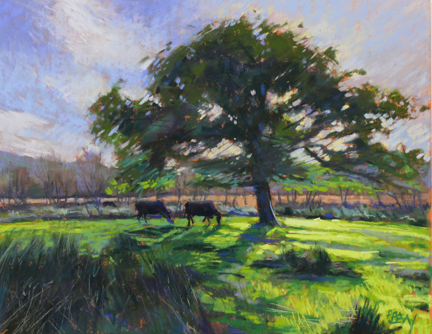 October at the Meadow, Glengarriff _ PRINT