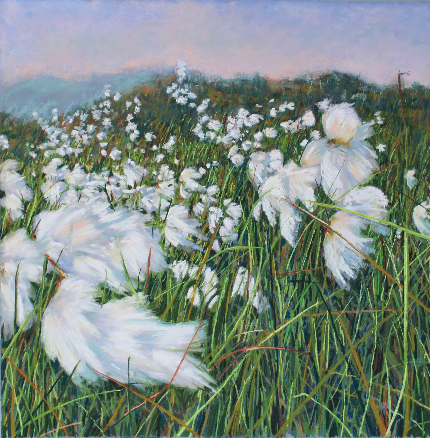 Summer Bog Cotton & Mountain Grasses, Coorycommane - Print