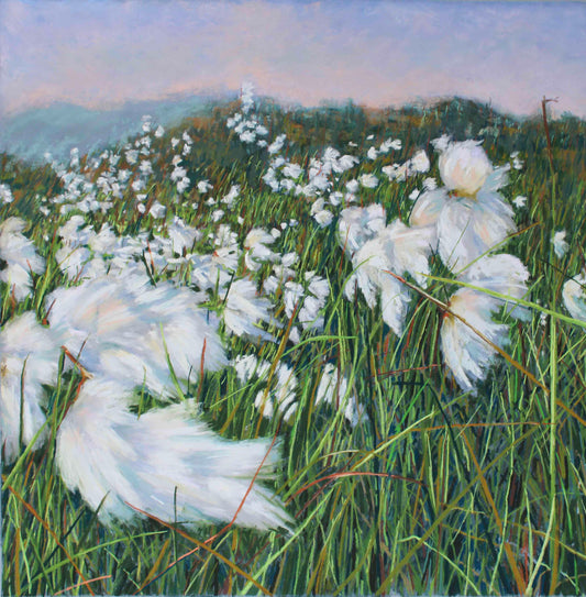 Summer Bog Cotton & Mountain Grasses, Coorycommane