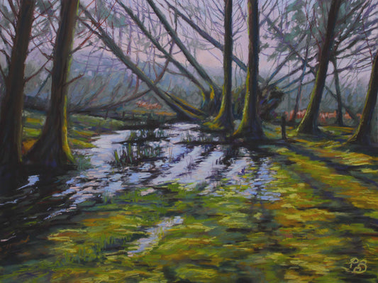 The edge of the Woods, Maugha