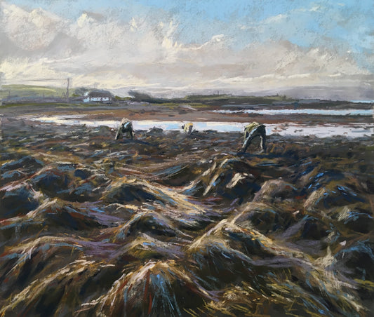 Tidal ii, Seaweed Harvesters at Killeenaran, Co. Galway. PRINT
