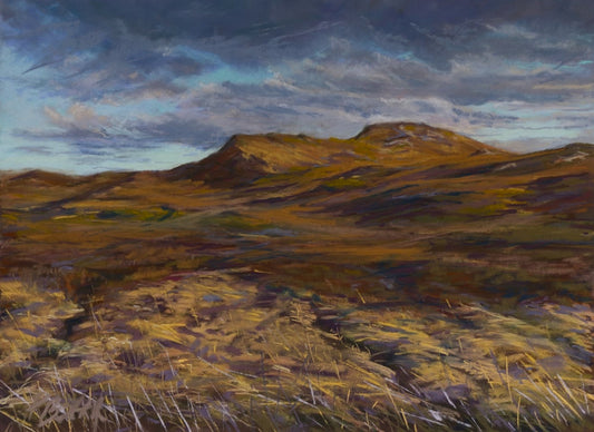 March Evening at Ardnaturish Beg, Glengarriff