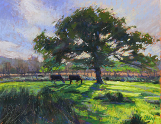 October at the Meadow, Glengarriff _ PRINT