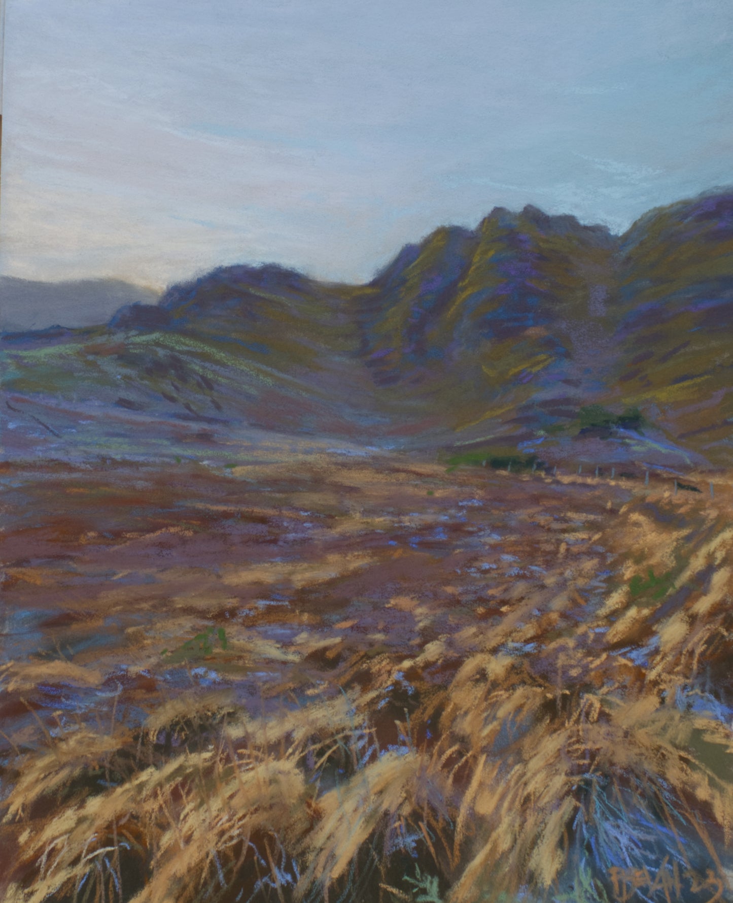 Winter Walk at Deereenagh Beg, Glengarriff - PRINT