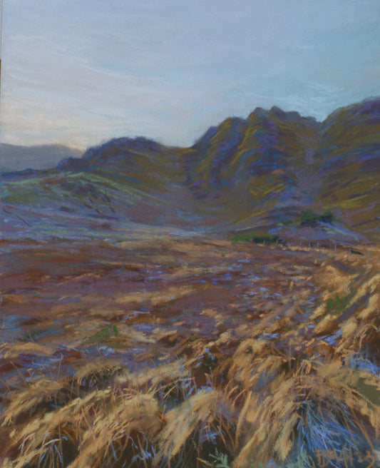 Winter Walk at Deereenagh Beg, Glengarriff - PRINT