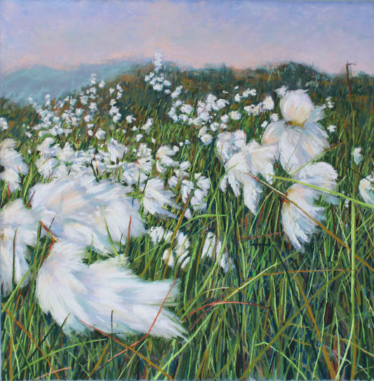 Summer Bog Cotton & Mountain Grasses (Ceannghán Fionnán Samhragh), Coorycommane - Print