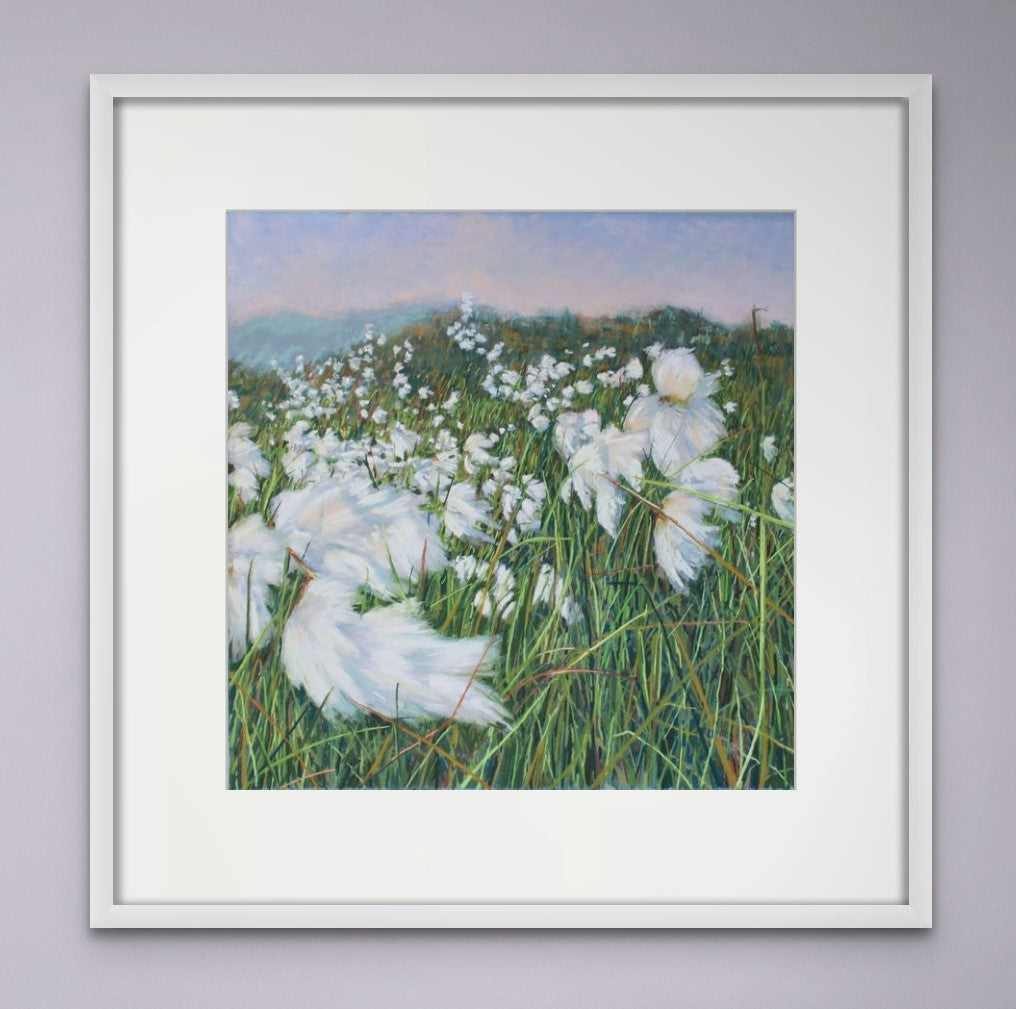 Summer Bog Cotton & Mountain Grasses (Ceannghán Fionnán Samhragh), Coorycommane - Print