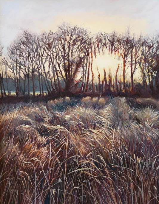 Morning Light on Jack Pat's East'r Field - Print