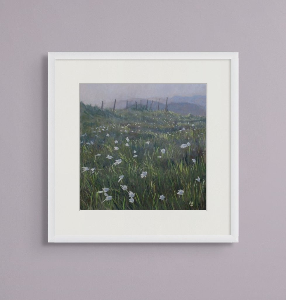 Evening Light at the Priest's Leap, Bantry, West Cork - PRINT